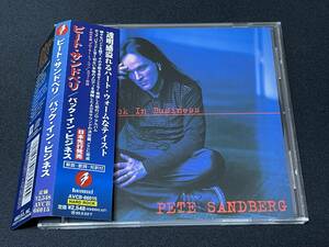 ◆北欧HR,メロハー,AOR◆PETE SANDBERG/BACK IN BUSINESS EX.ALIEN