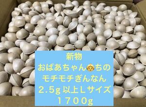 新潟よりおばあちゃんちのモチモチぎんなん　2.5g以上Ｌサイズ１７００g 