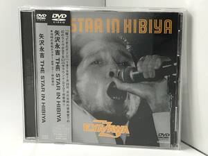 【帯付】 矢沢永吉　DVD 「THE STAR IN HIBIYA」 ザ・スター・イン・ヒビヤ　日比谷野外音楽堂　中古品