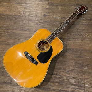 Morris W-30 Acoustic Guitar акустическая гитара Morris - x170