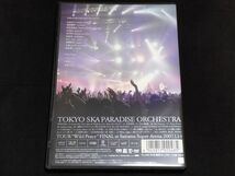 ライヴDVD◆[東京スカパラダイスオーケストラTOKYO SKA PARADISE ORCHESTRA/TOUR WILD PEACE FINAL]◆ハナレグミCHARA甲本ヒロト_画像3