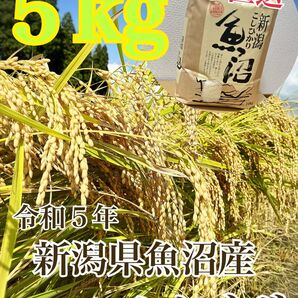 新潟県魚沼産コシヒカリ　５kg
