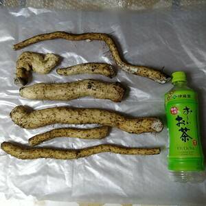 ☆★ 天然物 栃木県産 自然薯 約900g じねんじょ とろろ ★☆