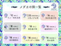 【餌屋黒澤】メダカ育成用最高級餌「極」0,25㎜10g浮上性・透明鱗・アルビノ・ヒカリ・ダルマ_画像3