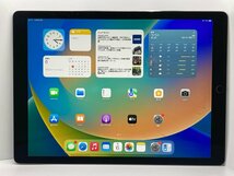 【中古・ジャンク】液晶画面割れ 打痕 色ムラ Apple iPad Pro 12.9inch Wi-Fiモデル 64GB グレイ NWー 本体 A-LJ262_画像1