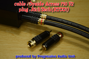 □□ Oyaide Across 750 V2＋RCA Gp_plug（RTCG1）/0.70m×2本（Oyaide SS47仕様）
