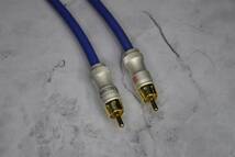 □□ AET EVO-0605S＋RCA Gp_plug（GS02）/0.45m×2本_画像4