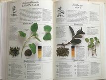 5769 洋書英語　The Herb Society's Complete Medicinal Herbal/薬用ハーブ完全図解 最終出品_画像7