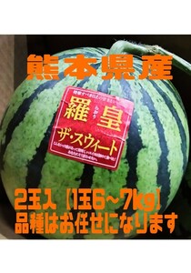 熊本県産スイカ2玉入【1玉約6～7kg】◆