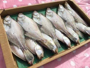 コロナの影響で、旅館の朝食用のカレイが残ってしまいました(＞人＜;) エテカレイ