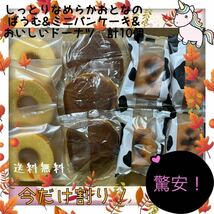 【数量限定】しっとりなめらかおとなのばうむ&ミニパンケーキ&おいしいドーナツ　計10個入り_画像1