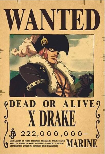 ONEPIECE ワンピース 手配書 ポスター X(ディエス)・ドレーク