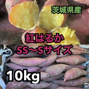 小さいSS～Sサイズ★茨城県産紅はるか10kg（土付き）