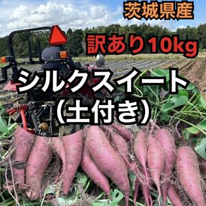 訳あり10kg★茨城県産シルクスイート（土付き）お料理で潰してしまう方などお得◎品質は通常品と同じ！