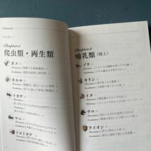 カメの甲羅はあばら骨　人体で表す動物図鑑　川崎悟司　SBビジュアル新書0015 初版　帯付き_画像2