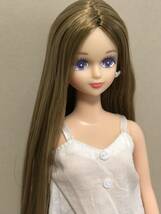 ジェシカ リカちゃんキャッスル ジェニーフレンド jenny doll 1/6 ドール 人形 ジェニー tamaki licca castle 27cm ジェニー人形 シオン_画像3