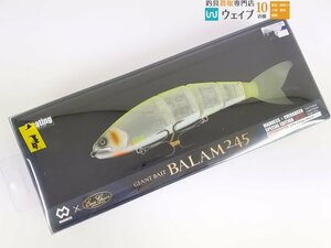 マドネス × エバーグリーン バラム 245 スケルトンチャート 超美品