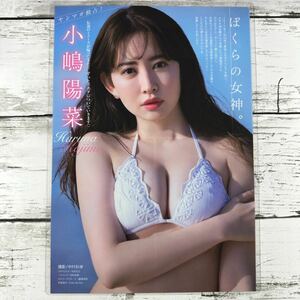 [高品質ラミネート処理][ 小嶋陽菜 AKB48 ] ヤングマガジン 2023年20号 雑誌 切り抜き 7ページ+表紙 水着 グラビア アイドル 芸能人 女優