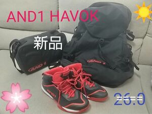 未使用 AND1 HAVOK バスケットシューズ 27.5cm(体感26.5cm) ケース デイパック 3点で 岸和田市で試履可