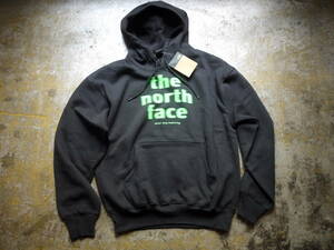 US購入 新品 L/ノースフェイス グラフィック ノイズロゴ スウェット パーカー THE NORTH FACE EVLN VINTAGE HOODIE