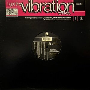 Black Box / I Got The Vibration (A Positive Vibration) (Remixes)