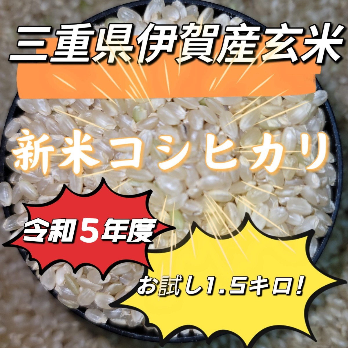 Yahoo!オークション -コシヒカリ(玄米)の落札相場・落札価格