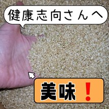 値下げ888→799円！新米！玄米！お試し【令和5年産】三重県 伊賀米 コシヒカリ 1.5㎏_画像2