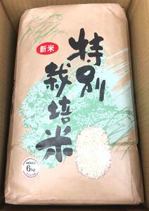 ◎京都銀行 株主優待◎ 京都府産 【新米】キヌヒカリ(6kg) 精米日:2023年10月27日　お米/単一原料米/6キロ/特別栽培米/京都産/令和5年度産