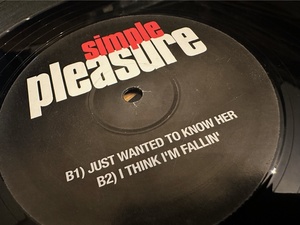 12”★Simple Pleasure 4 Track EP / New Jack Swing！Where Do We Go From Here / ust Wanted To Know Her / Never Before