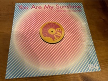 12”★Shiho Fujisawa 藤澤志保 / You Are My Sunshine / ヴォーカル・ハウス！未開封！_画像3