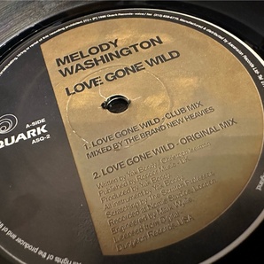 12”★Melody Washington / Love Gone Wild / The Brand New Heavies / Roger Sanchez / ディープ・ヴォーカル・ハウス！の画像1