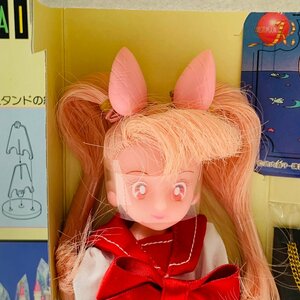 難あり新古品 美少女戦士セーラームーンR SAILORMOON R セーラーチーム ちびうさ 制服 人形 ドール