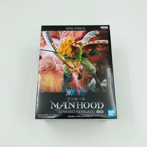 新品未開封 MANHOOD ワンピース EDWARD.NEWGATE エドワード・ニューゲート A