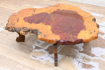 J292M 良型 花梨瘤 瘤杢 コブ 玉杢 一枚板 総無垢 天然木 座卓 座敷机 ローテーブル 和家具_画像1