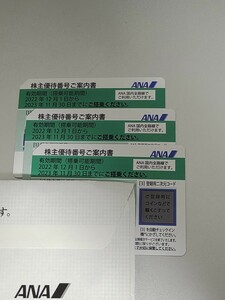 【株主優待】ANA株主優待券　2023年11月搭乗まで　１枚