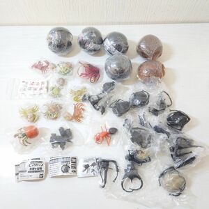 ホ16【60】1円～ バンダイ ビッグサイズ 世界の昆虫 タカラトミー 危険生物大百科 みずべのなかま まとめ ' カブト クワガタ ワニ 蟹 蟻 他