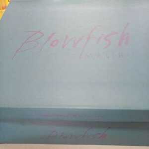 ブローフィッシュ Blowfish ショートブーツ レディース 本革 US 7.5 新品　24.5cm 未使用