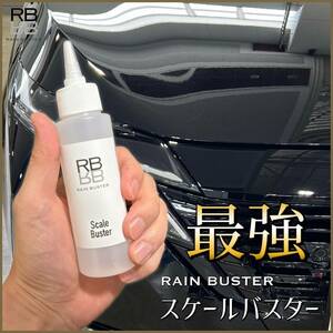 RB スケールバスター　100ml ボトル クロス付　スケール除去　水アカ除去　解説動画有り　ウロコ　プロ仕様　約4〜5台分