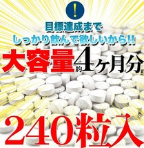 ダイエットサプリ フォースコリー 国産 フォルスコリ 日本製 サプリメント 痩せ 効果 体脂肪 コレウスフォルスコリエキス フォルスコリン_画像6