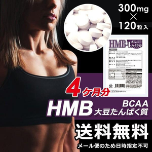 HMB サプリメント ダイエット トレーニング ジム 筋トレ 運動 体脂肪率 筋肉 BCAA アミノ酸 たんぱく質 スポーツ 体型キープ 大容量 zik-