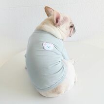 イエローMサイズ◆【残り数枚】犬服 中型犬用 ドッグ くまさん ボーダー Tシャツ 熊 ベア カットソー 新作 ペット 新品 春 夏 秋 犬用品_画像6