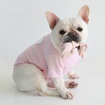 ピンクXXLサイズ◆【残り数枚】犬服 中型犬用 ドッグ くまさん ボーダー柄 Tシャツ 熊 ベア カットソー 新作 ペット 新品 春 夏 秋 犬用品_画像5