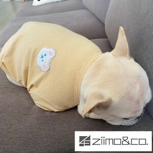 イエローMサイズ◆【残り数枚】犬服 中型犬用 ドッグ くまさん ボーダー Tシャツ 熊 ベア カットソー 新作 ペット 新品 春 夏 秋 犬用品