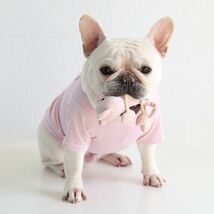 イエローXLサイズ◆【残り数枚】犬服 中型犬用 ドッグ くまさん ボーダー Tシャツ 熊 ベア カットソー 新作 ペット 新品 春 夏 秋 犬用品_画像9