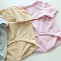 イエローXLサイズ◆【残り数枚】犬服 中型犬用 ドッグ くまさん ボーダー Tシャツ 熊 ベア カットソー 新作 ペット 新品 春 夏 秋 犬用品_画像5