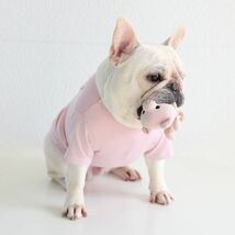 ピンクXXLサイズ◆【残り数枚】犬服 中型犬用 ドッグ くまさん ボーダー柄 Tシャツ 熊 ベア カットソー 新作 ペット 新品 春 夏 秋 犬用品_画像4