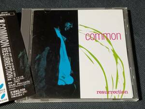 common /resurrection【NO I.D,Mista Sinister,Common Sense