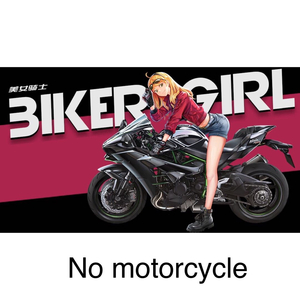 [ scale 1/9] figure garage kit sexy woman rider * bike none * not yet painting not yet constructed *