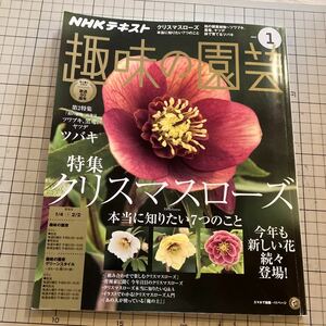 NHK趣味の園芸 2018年1月号