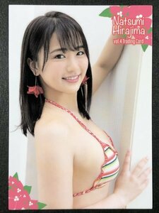 平嶋 夏海　vol.４　RG38　水着 AKB48 グラビア アイドル トレカ トレーディングカード